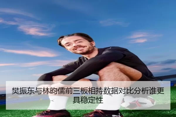 樊振东与林昀儒前三板相持数据对比分析谁更具稳定性